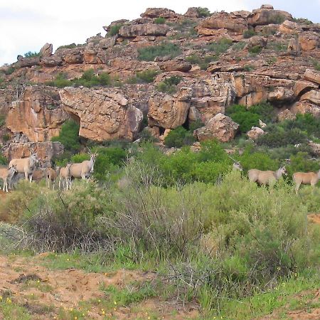 Villa Traveller'S Rest Clanwilliam Exterior foto