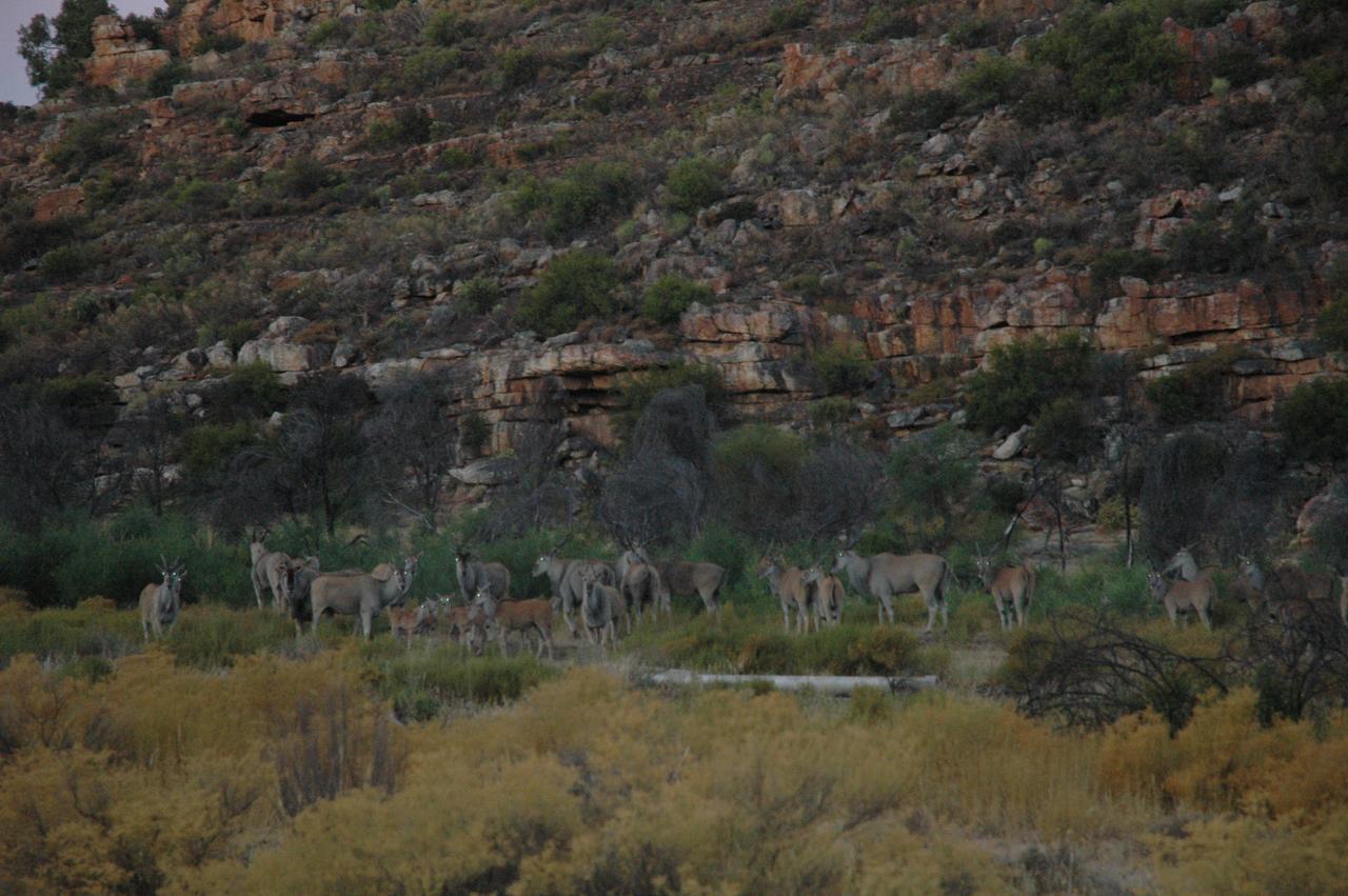 Villa Traveller'S Rest Clanwilliam Exterior foto